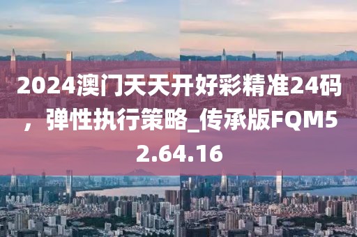 2024澳门天天开好彩精准24码，弹性执行策略_传承版FQM52.64.16
