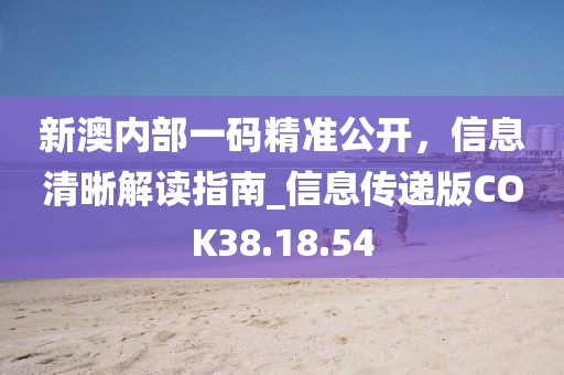 新澳内部一码精准公开，信息清晰解读指南_信息传递版COK38.18.54