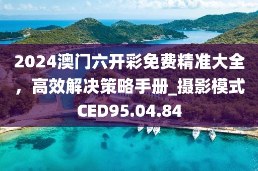 2024澳门六开彩免费精准大全，高效解决策略手册_摄影模式CED95.04.84