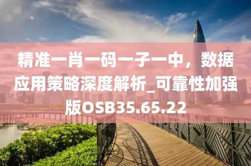 精准一肖一码一子一中，数据应用策略深度解析_可靠性加强版OSB35.65.22