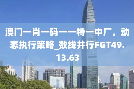 澳门一肖一码一一特一中厂，动态执行策略_数线并行FGT49.13.63