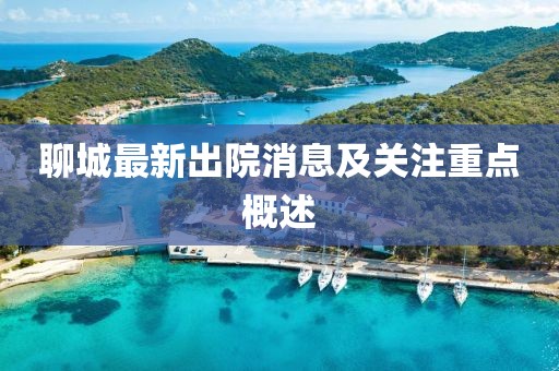 聊城最新出院消息及关注重点概述