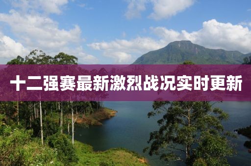 十二强赛最新激烈战况实时更新