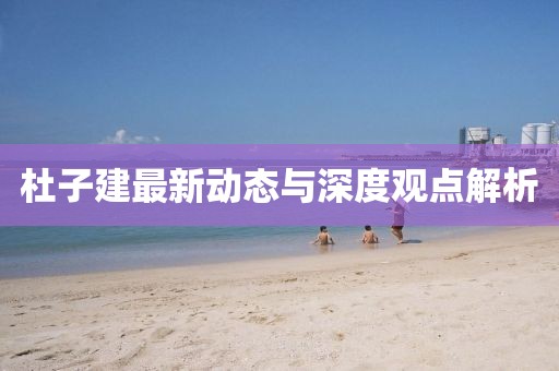 杜子建最新动态与深度观点解析