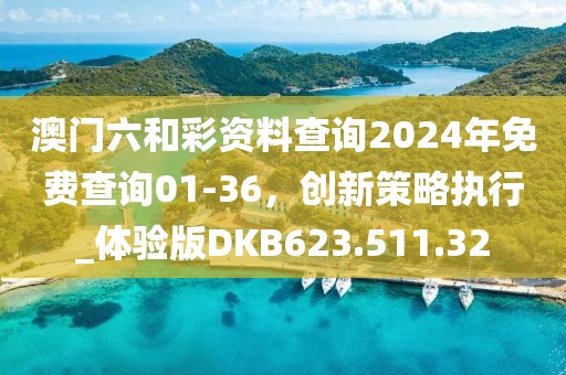 澳门六和彩资料查询2024年免费查询01-36，创新策略执行_体验版DKB623.511.32