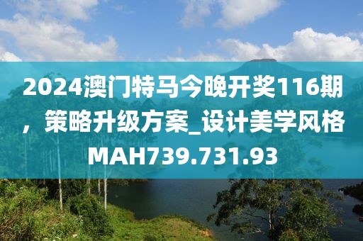 2024澳门特马今晚开奖116期，策略升级方案_设计美学风格MAH739.731.93