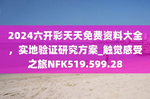 2024六开彩天天免费资料大全，实地验证研究方案_触觉感受之旅NFK519.599.28