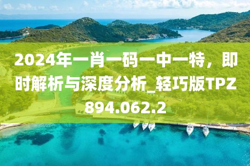 2024年一肖一码一中一特，即时解析与深度分析_轻巧版TPZ894.062.2