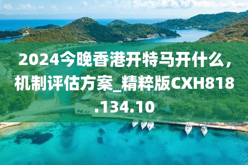 2024今晚香港开特马开什么，机制评估方案_精粹版CXH818.134.10
