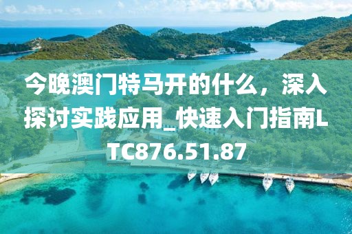 今晚澳门特马开的什么，深入探讨实践应用_快速入门指南LTC876.51.87