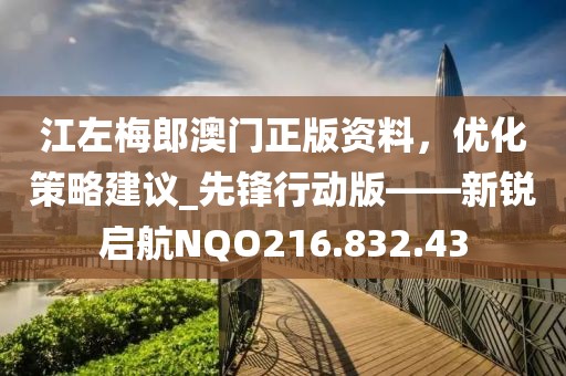 江左梅郎澳门正版资料，优化策略建议_先锋行动版——新锐启航NQO216.832.43