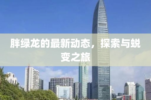 胖绿龙的最新动态，探索与蜕变之旅