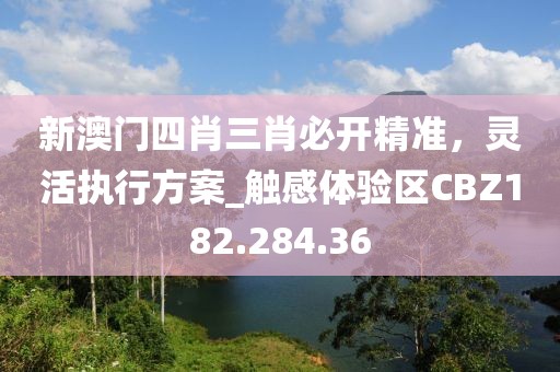 新澳门四肖三肖必开精准，灵活执行方案_触感体验区CBZ182.284.36