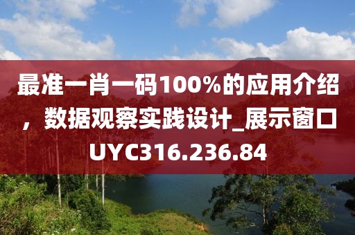 最准一肖一码100%的应用介绍，数据观察实践设计_展示窗口UYC316.236.84