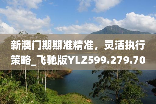 新澳门期期准精准，灵活执行策略_飞驰版YLZ599.279.70