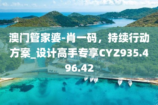 澳门管家婆-肖一码，持续行动方案_设计高手专享CYZ935.496.42