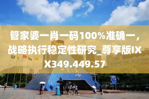 管家婆一肖一码100%准确一，战略执行稳定性研究_尊享版IXX349.449.57