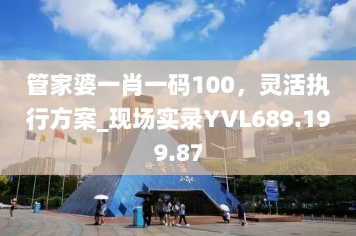 管家婆一肖一码100，灵活执行方案_现场实录YVL689.199.87