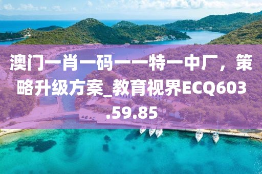 澳门一肖一码一一特一中厂，策略升级方案_教育视界ECQ603.59.85