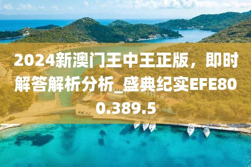 2024新澳门王中王正版，即时解答解析分析_盛典纪实EFE800.389.5
