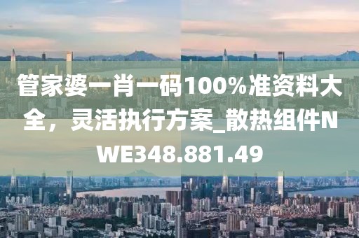 管家婆一肖一码100%准资料大全，灵活执行方案_散热组件NWE348.881.49