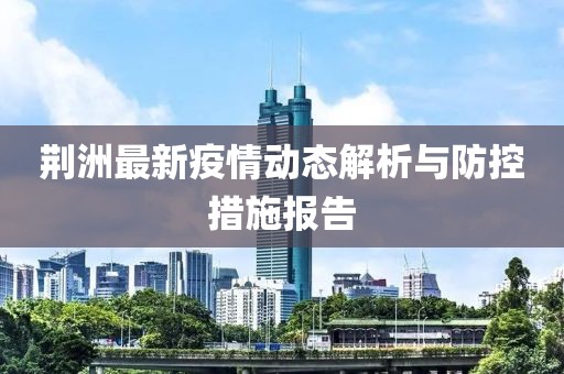 荆洲最新疫情动态解析与防控措施报告