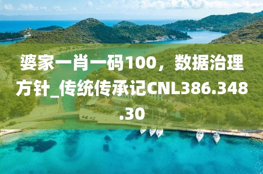 婆家一肖一码100，数据治理方针_传统传承记CNL386.348.30