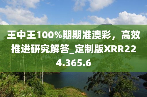 王中王100%期期准澳彩，高效推进研究解答_定制版XRR224.365.6