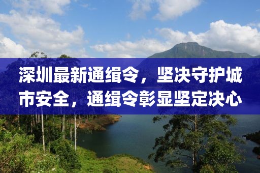 深圳最新通缉令，坚决守护城市安全，通缉令彰显坚定决心