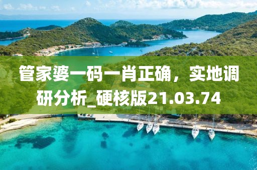 管家婆一码一肖正确，实地调研分析_硬核版21.03.74