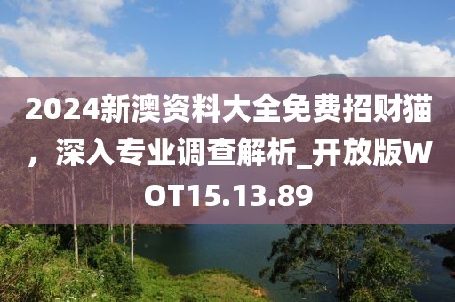 2024新澳资料大全免费招财猫，深入专业调查解析_开放版WOT15.13.89