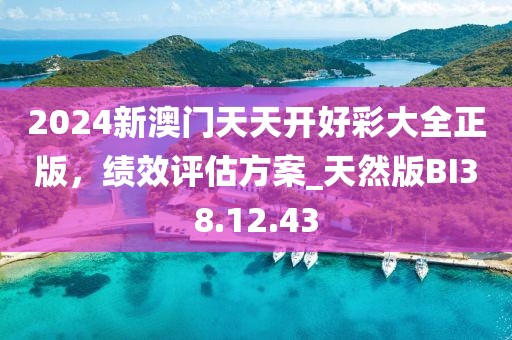 2024新澳门天天开好彩大全正版，绩效评估方案_天然版BI38.12.43