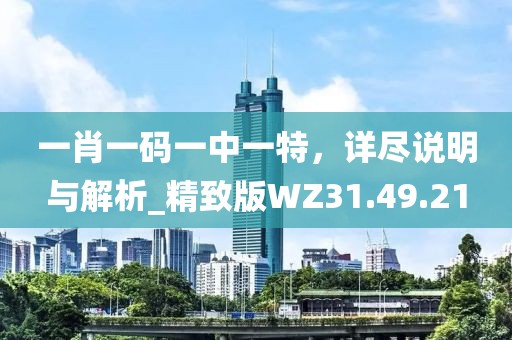 一肖一码一中一特，详尽说明与解析_精致版WZ31.49.21