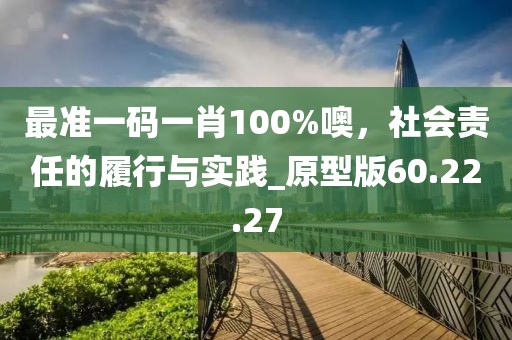 最准一码一肖100%噢，社会责任的履行与实践_原型版60.22.27