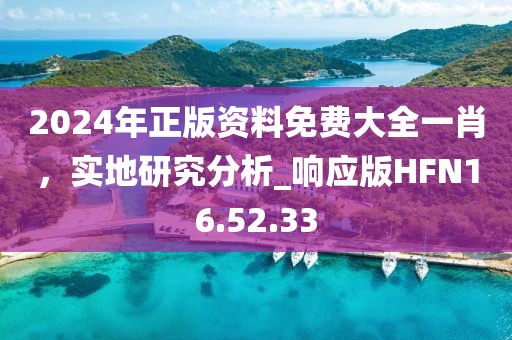 2024年正版资料免费大全一肖，实地研究分析_响应版HFN16.52.33