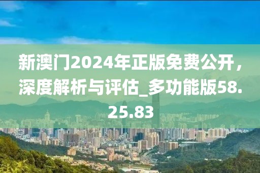 新澳门2024年正版免费公开，深度解析与评估_多功能版58.25.83