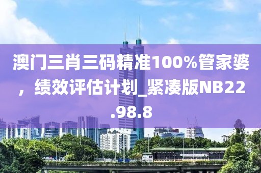 澳门三肖三码精准100%管家婆，绩效评估计划_紧凑版NB22.98.8