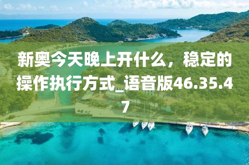 新奥今天晚上开什么，稳定的操作执行方式_语音版46.35.47