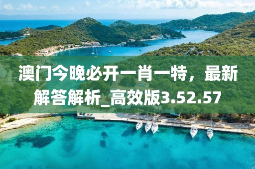 澳门今晚必开一肖一特，最新解答解析_高效版3.52.57
