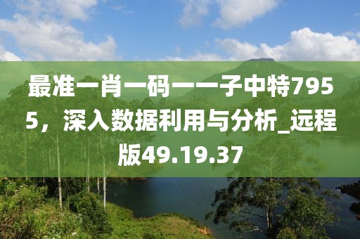 最准一肖一码一一子中特7955，深入数据利用与分析_远程版49.19.37