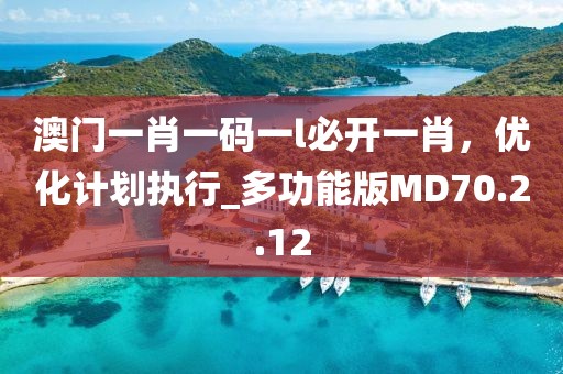 澳门一肖一码一l必开一肖，优化计划执行_多功能版MD70.2.12