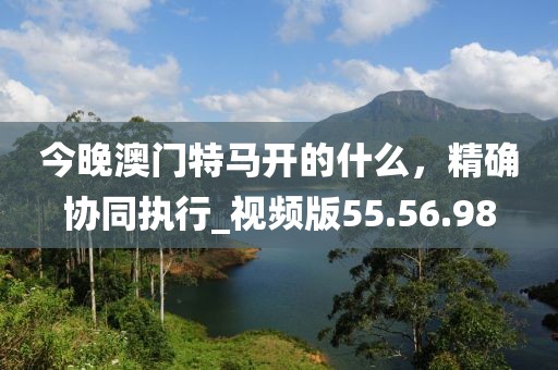 今晚澳门特马开的什么，精确协同执行_视频版55.56.98