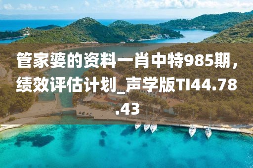 管家婆的资料一肖中特985期，绩效评估计划_声学版TI44.78.43