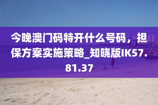 今晚澳门码特开什么号码，担保方案实施策略_知晓版IK57.81.37