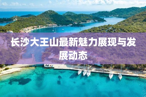 长沙大王山最新魅力展现与发展动态