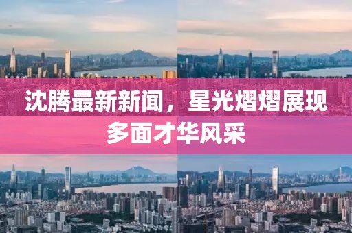 沈腾最新新闻，星光熠熠展现多面才华风采