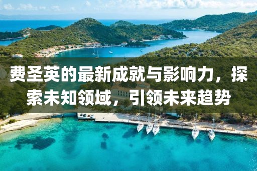 费圣英的最新成就与影响力，探索未知领域，引领未来趋势