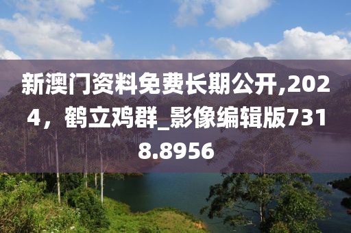 新澳门资料免费长期公开,2024，鹤立鸡群_影像编辑版7318.8956