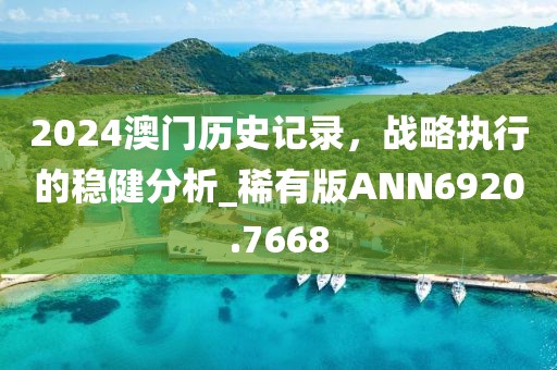 2024澳门历史记录，战略执行的稳健分析_稀有版ANN6920.7668