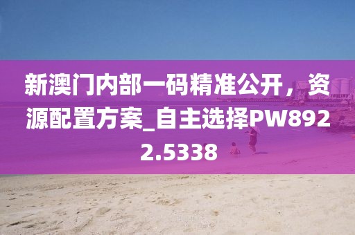 新澳门内部一码精准公开，资源配置方案_自主选择PW8922.5338